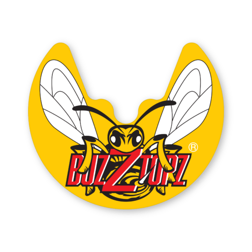 cropped-Original-Buzztopz@300x-8.png